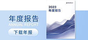 2025年度报告